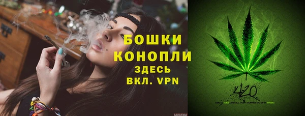 прущая мука Няндома