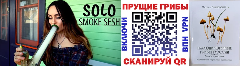 Псилоцибиновые грибы прущие грибы  продажа наркотиков  Полярные Зори 